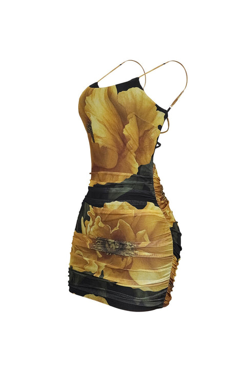 Luciana Mesh Floral Print Mini Dress