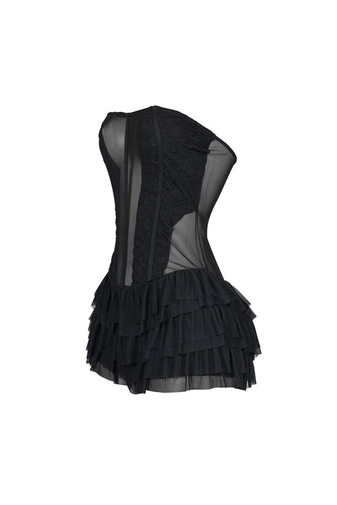Rory Mesh Tube Lace Corset Mini Dress