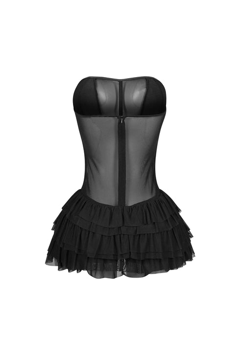 Rory Mesh Tube Lace Corset Mini Dress