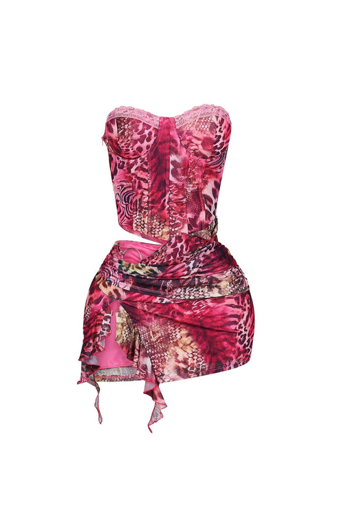 Yumiko Mesh Corset Tube Mini Dress