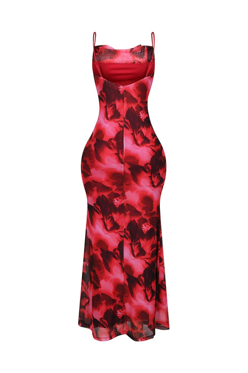 Hena Mesh Printed Cowl Neck Maxi Dress