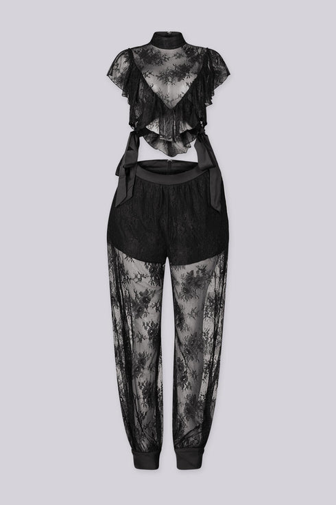 Sinful Sheer Lace Top & Pants SET
