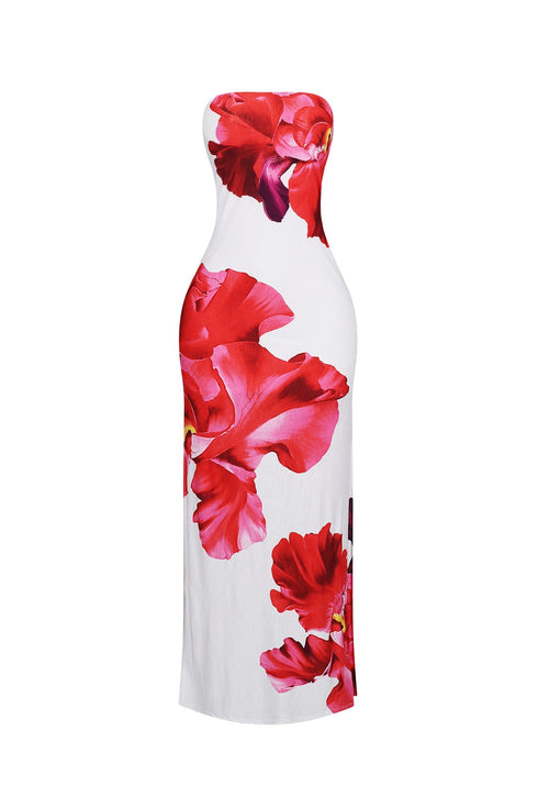 Roja Floral Printed Tube Maxi Dress