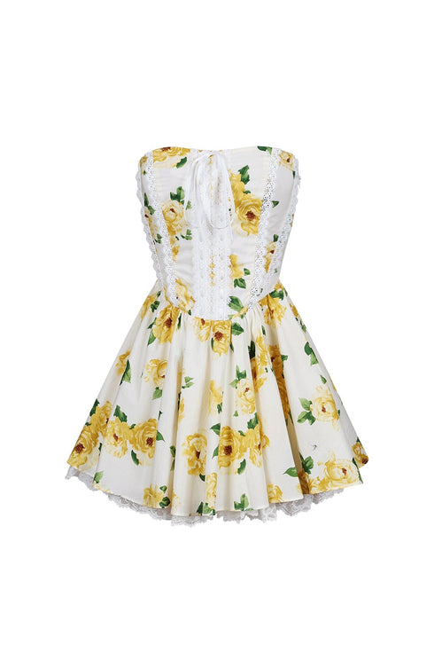 Rosa Floral Printed Flare Mini Dress