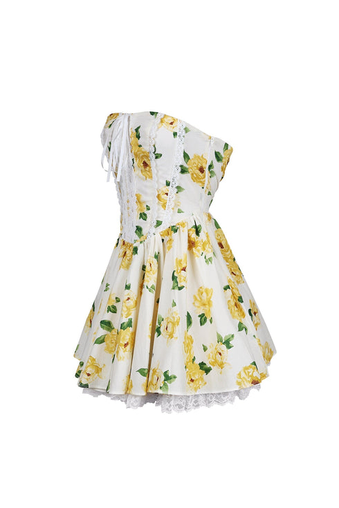 Rosa Floral Printed Flare Mini Dress