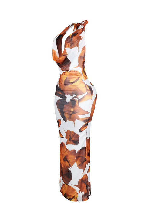 Sundaze Print Mesh Cowl Neck Maxi Dress