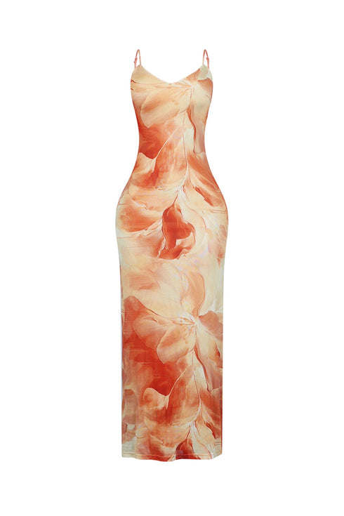 Coral Blush Mesh Print Maxi Dress