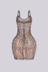 Crystaline Rhinestone Embellished Mini Dress