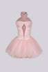 Ballerina Lace Corset Tulle Mini Dress