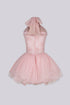 Ballerina Lace Corset Tulle Mini Dress