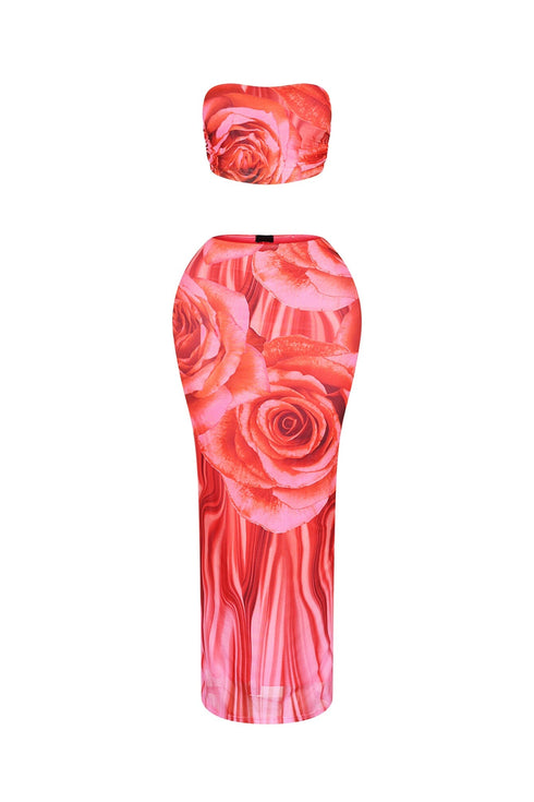 Dawnridge Mesh Tube Top & Skirt SET