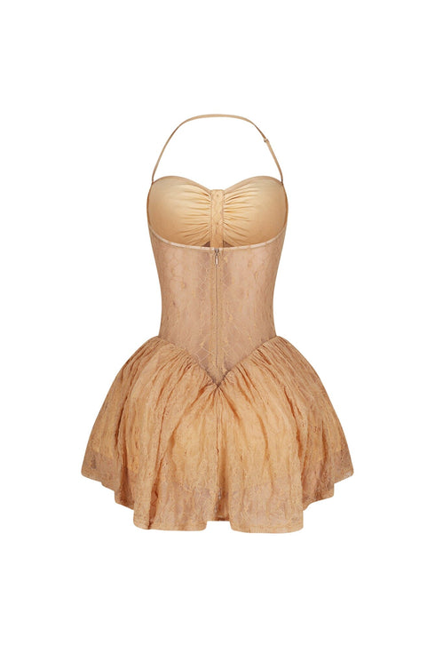 Nordelle Lace Tulle Mini Dress