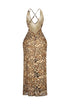 Monsoon Leopard Mesh Maxi Dress