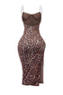 Never Stop Leopard Mesh Long Dress