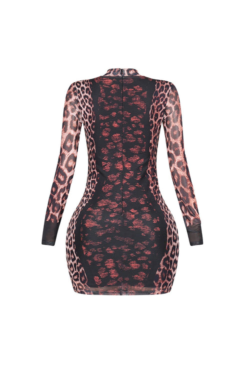 Polished Yet Wild Mesh Dress