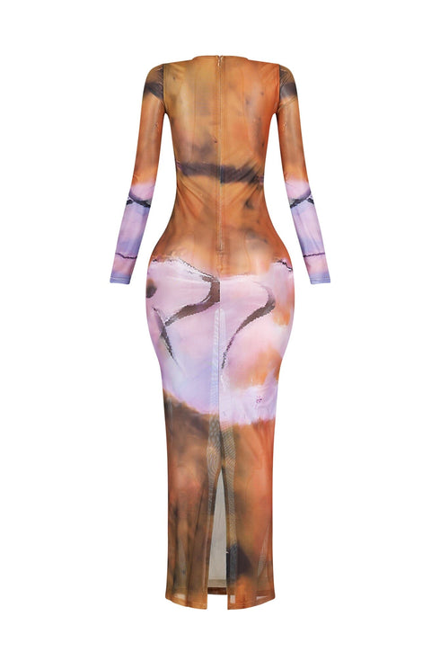 Ronda Mesh Print Long Sleeve Dress