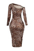 Delaney Mesh Leopard Midi Dress