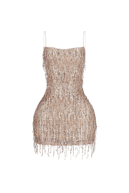 Attractive Sequin Fringe Mini Dress