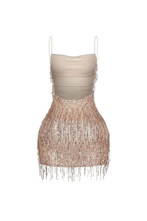 Attractive Sequin Fringe Mini Dress