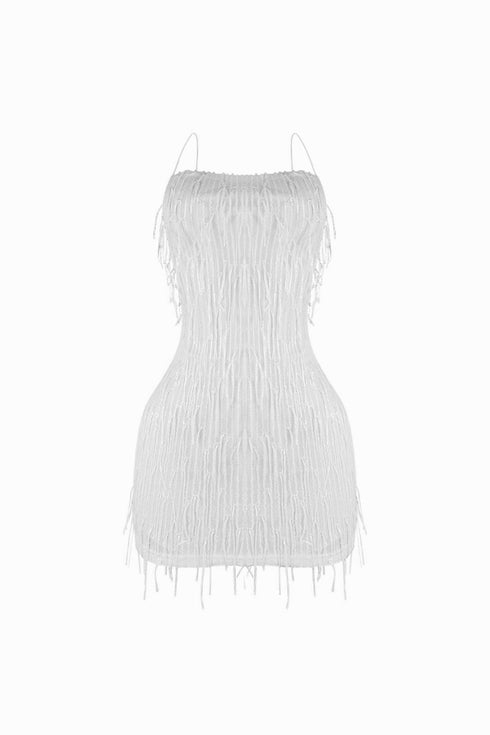 Attractive Sequin Fringe Mini Dress