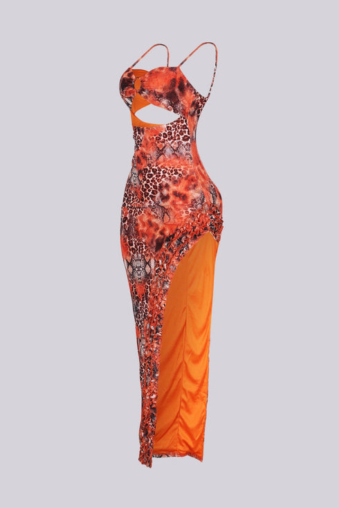 Heatwave Mesh Print Maxi Dress