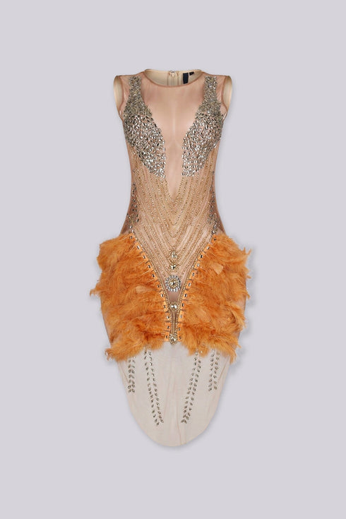 Flaire Mesh Mini Dress With Feather & Rhinestone