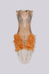 Flaire Mesh Mini Dress With Feather & Rhinestone