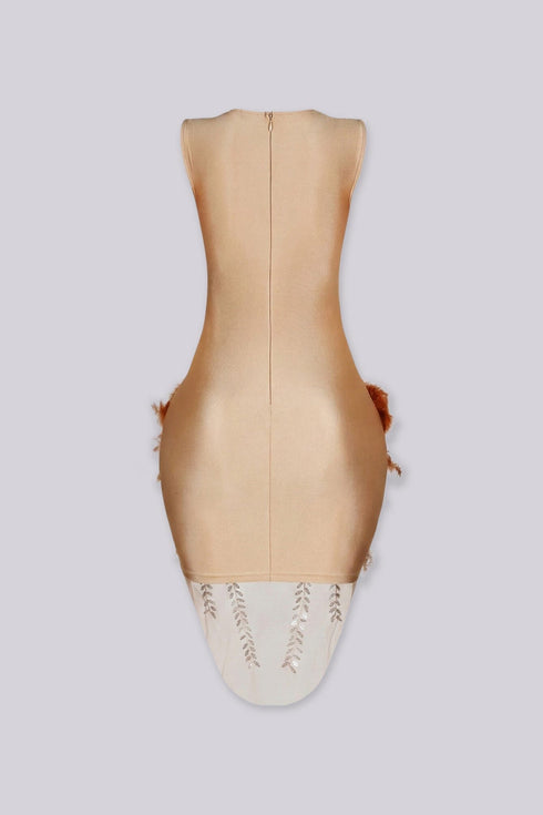 Flaire Mesh Mini Dress With Feather & Rhinestone