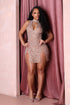 Gina Rhinestone Mesh Halter Mini Dress