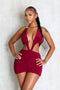Glamour Plunge Neck Mini Dress