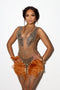 Flaire Mesh Mini Dress With Feather & Rhinestone