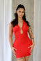 Dilara Halter Neck Metal Trim Mini Dress