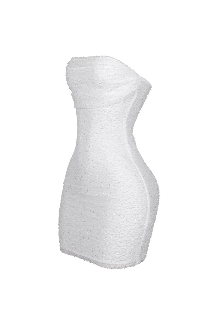 Greer Mesh Beaded Mini Dress