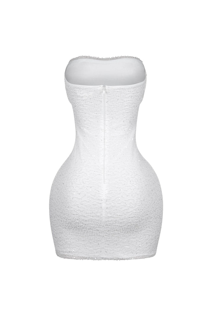 Greer Mesh Beaded Mini Dress