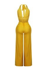 Evie Mesh Cowl Neck Jumpsuit