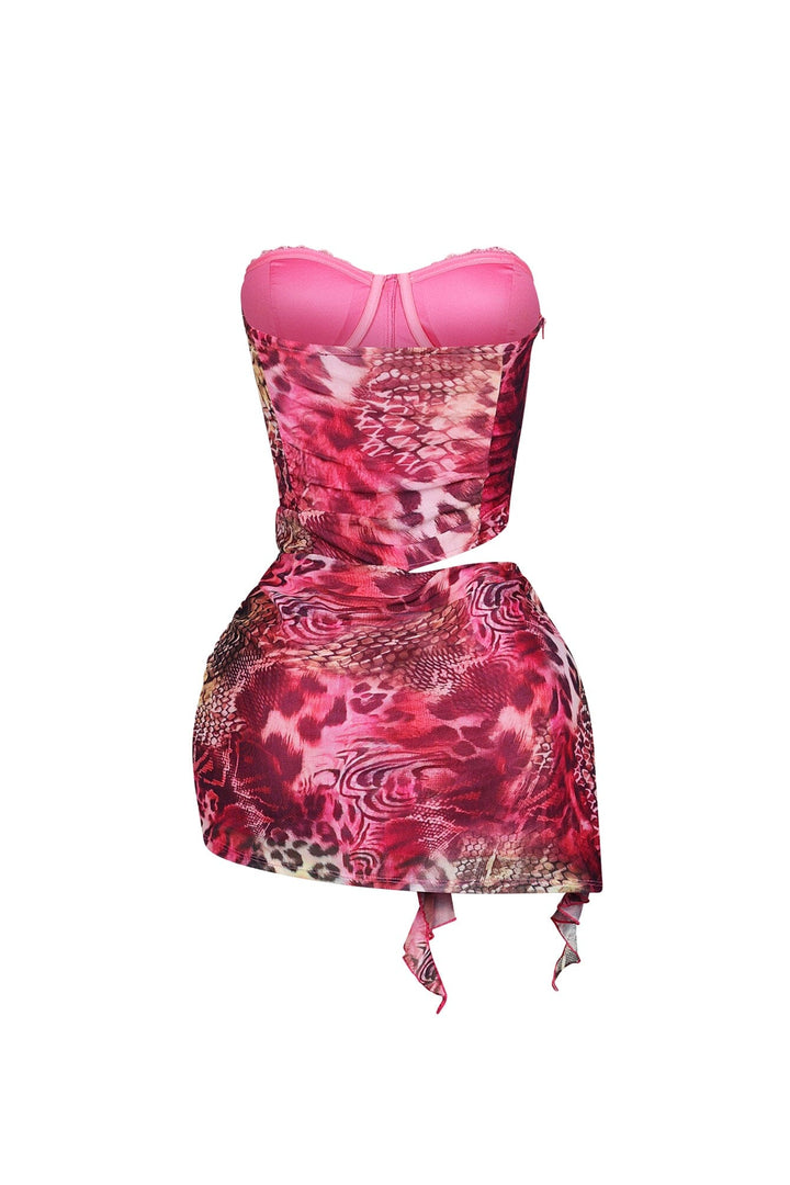 Yumiko Mesh Corset Tube Mini Dress