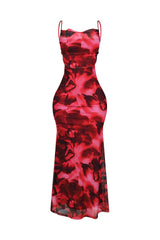 Hena Mesh Printed Cowl Neck Maxi Dress