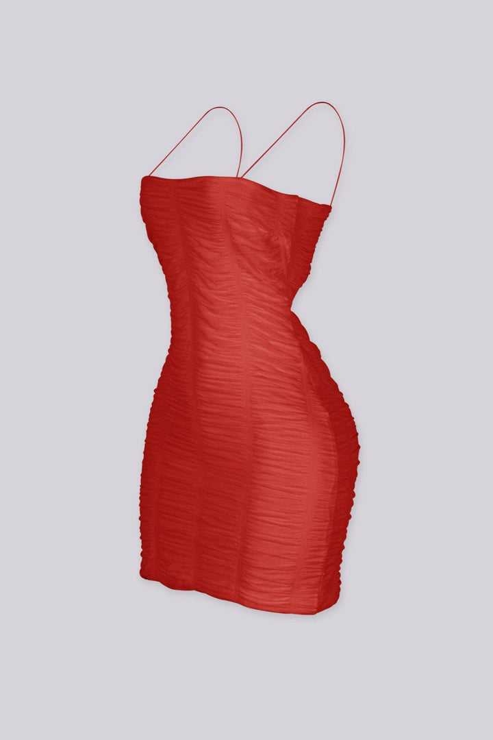 Rosy Temptation Mini Dress