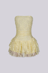 Daisy Lace Tube Mini Dress