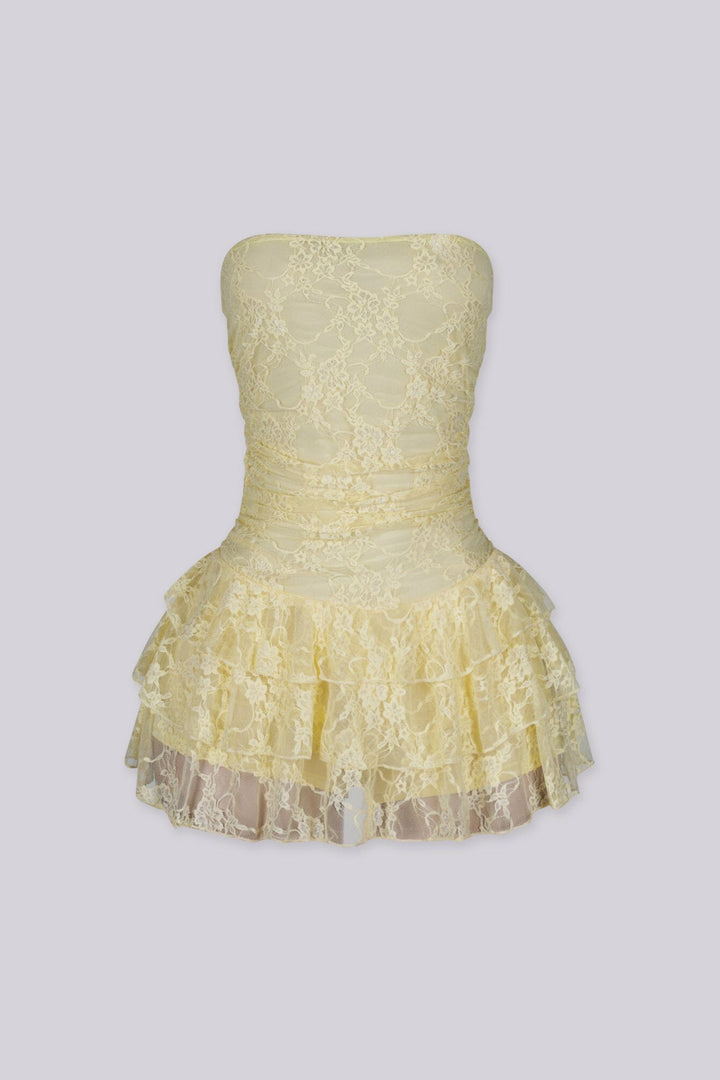 Daisy Lace Tube Mini Dress