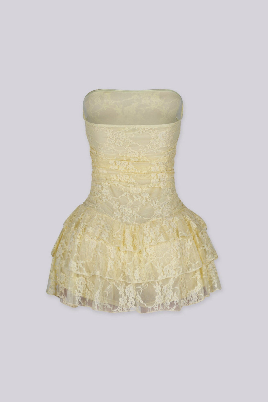 Daisy Lace Tube Mini Dress