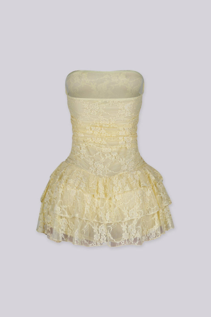 Daisy Lace Tube Mini Dress