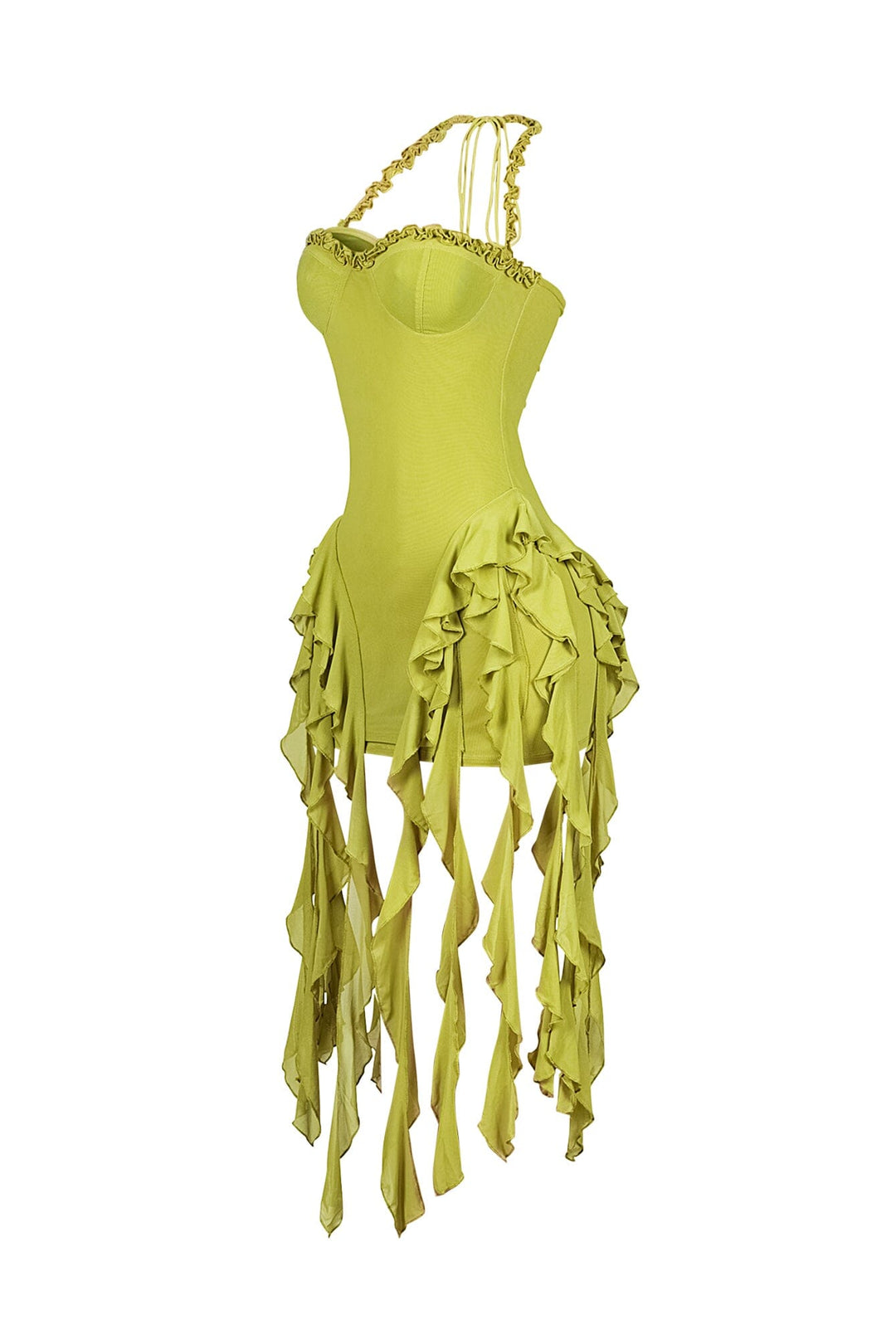Rumba Mesh Ruffled Mini Dress