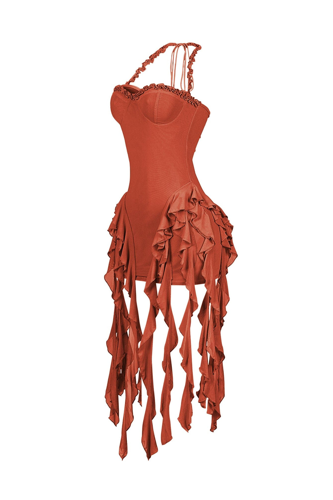 Rumba Mesh Ruffled Mini Dress