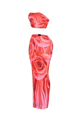 Dawnridge Mesh Tube Top &amp; Skirt SET