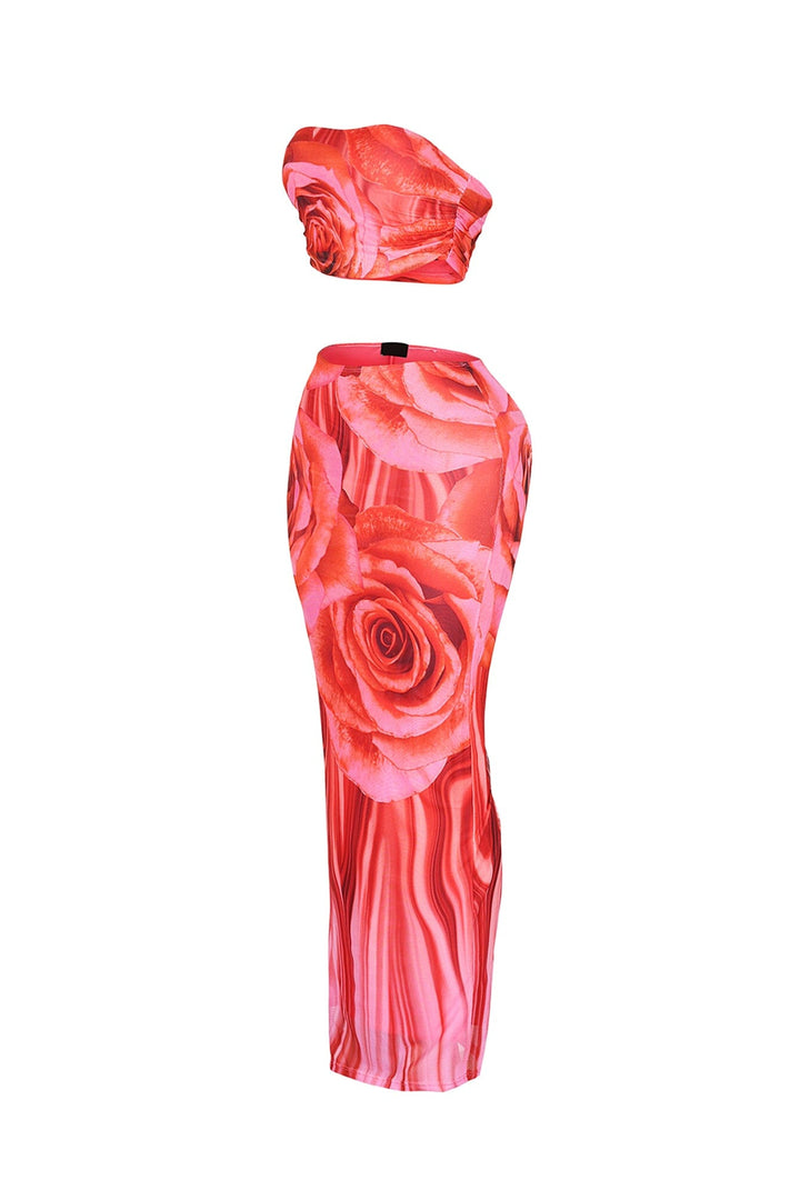 Dawnridge Mesh Tube Top &amp; Skirt SET