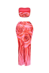 Dawnridge Mesh Tube Top &amp; Skirt SET
