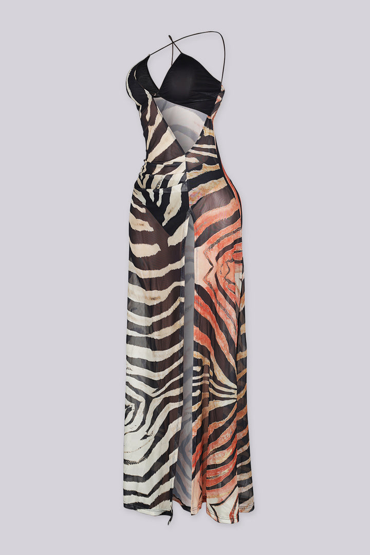 Day Dream Sheer Maxi Dress