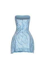 Bijoux Flare Tube Dress