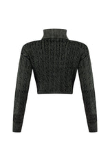 Vittoria Turtle Neck Cable Knit Sweater